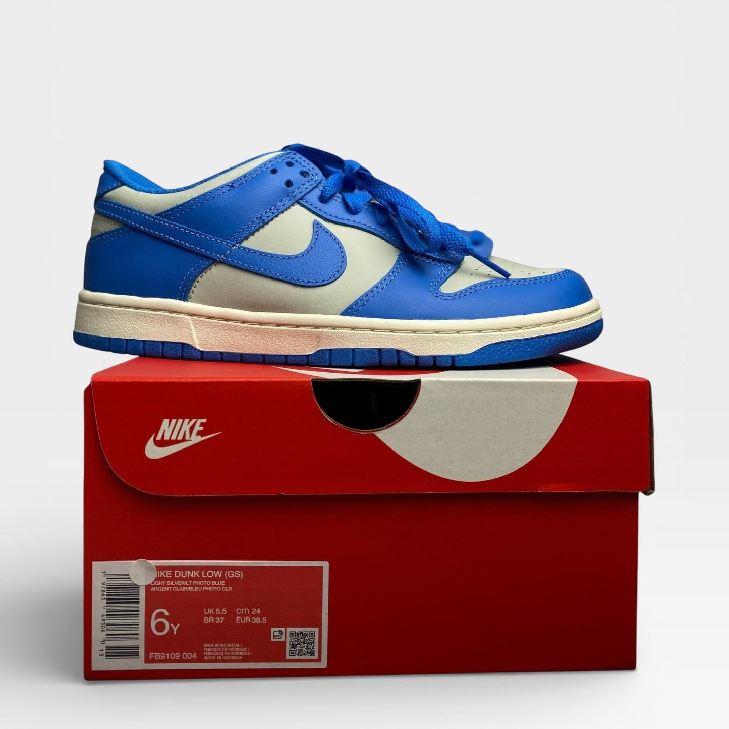 Nike Dunk Low (GS) Detroit Lions